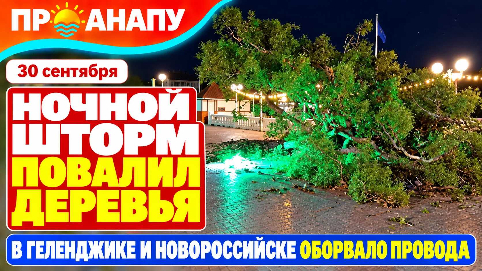 Ночной шторм повалил деревья и оборвал провода в Геленджике и Новороссийске: в Анапе де...