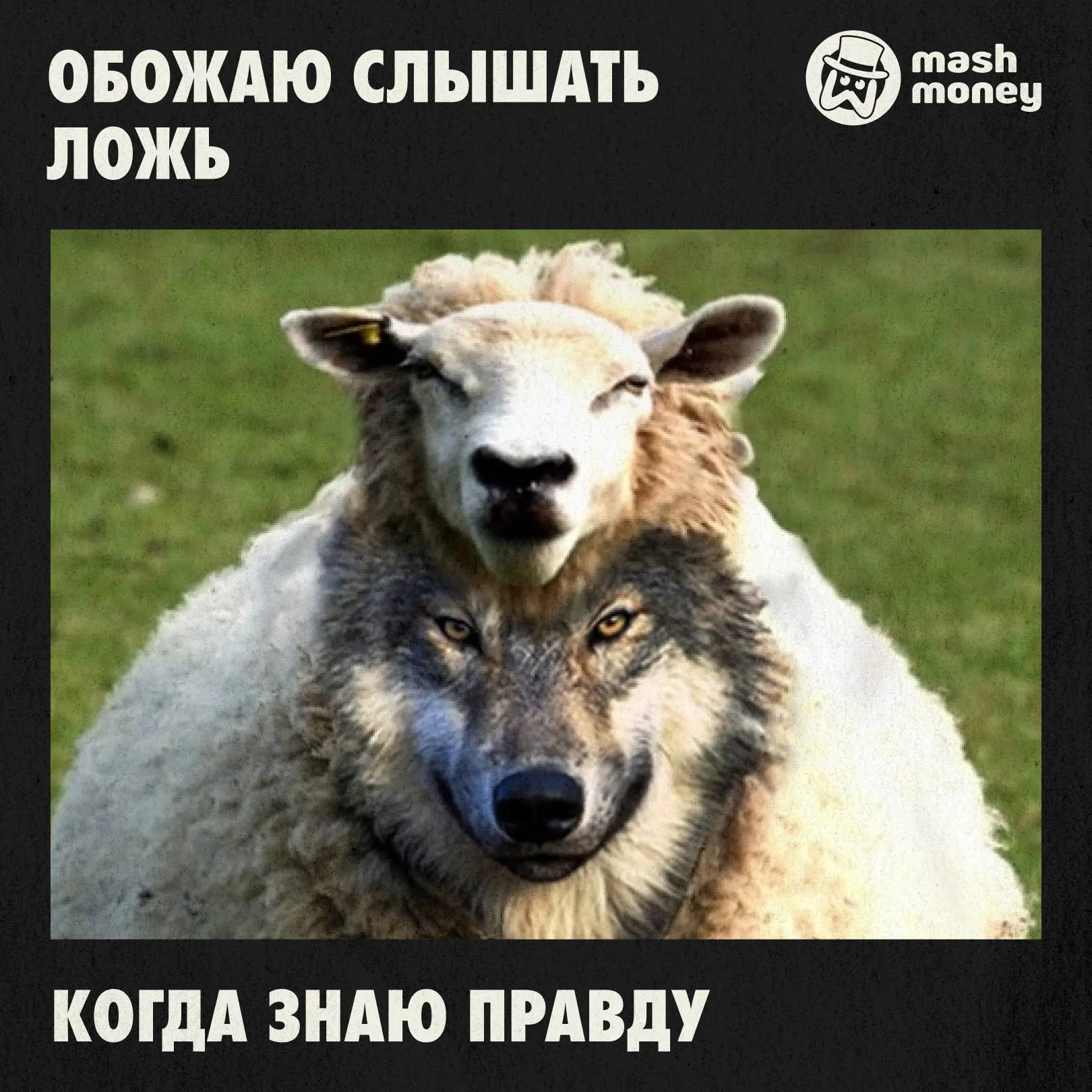Пенсионерка из Москвы отдала мошенникам 22 млн рублей из-за того, что не умеет врать. Женщина пытала