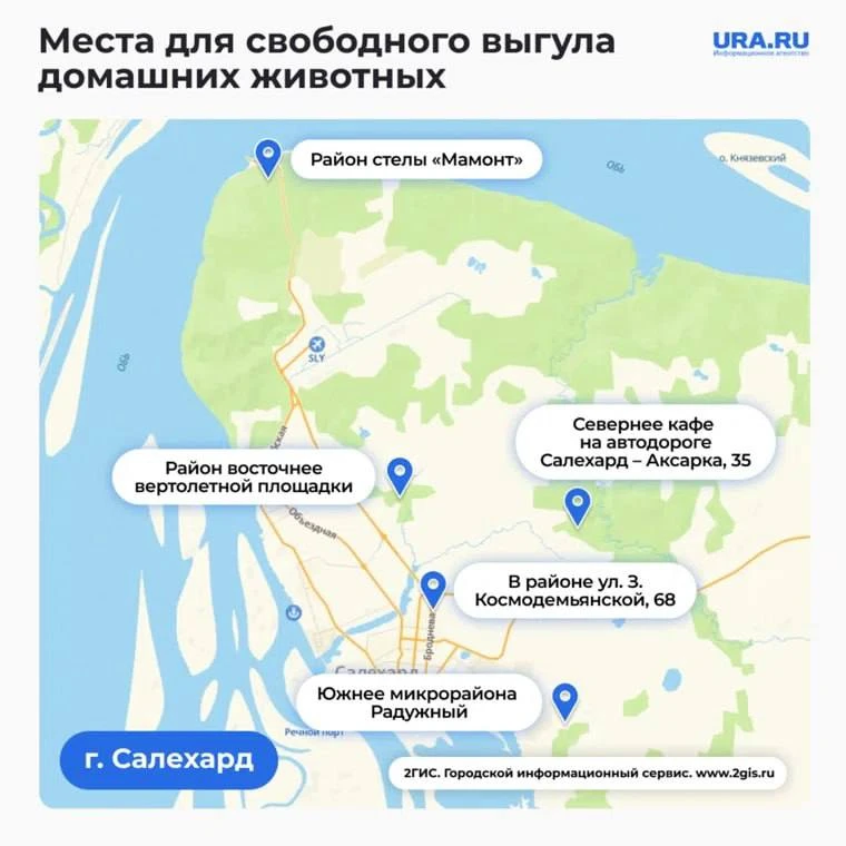 Свободно выгуливать собак разрешат аж в пяти местах Салехарда  Власти закрепили площадки для свободн