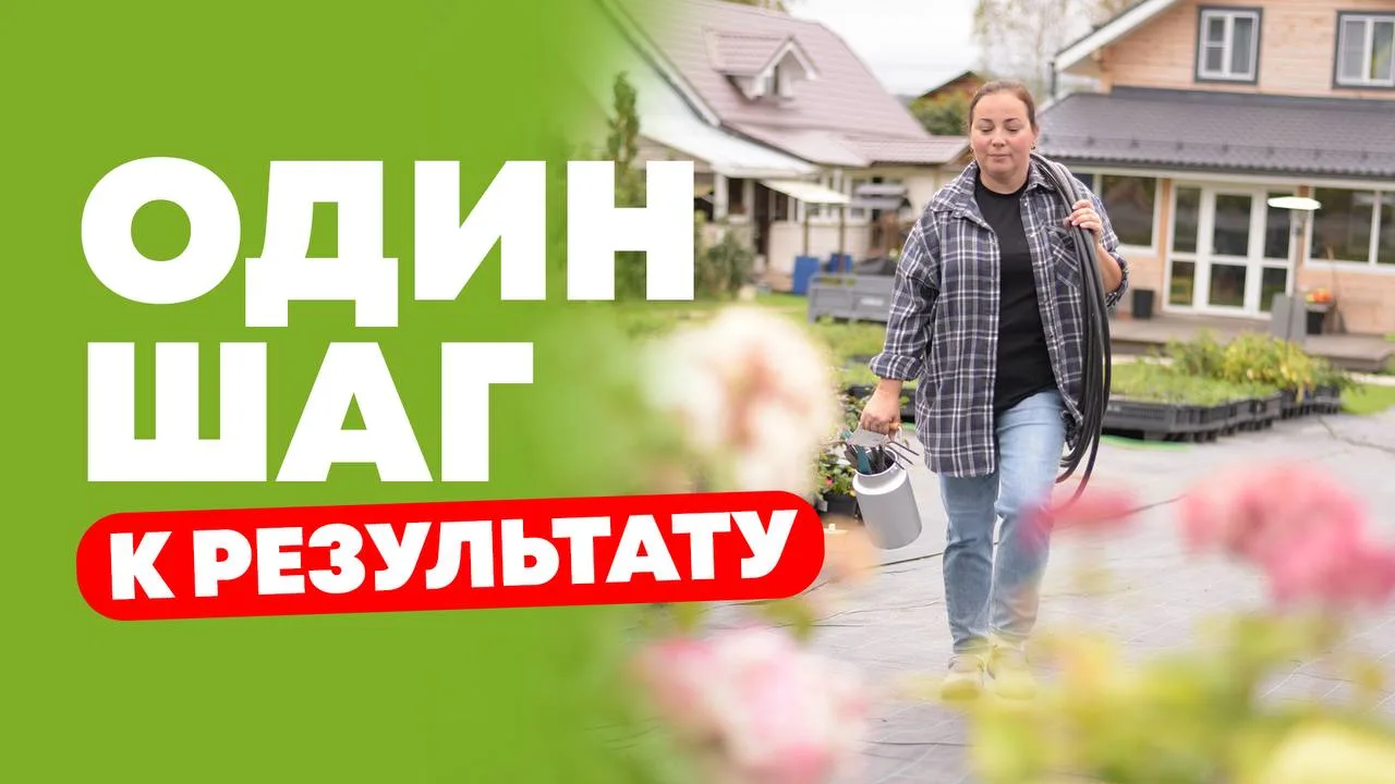 Как же обидно сделать почти всё и остановиться в одном шаге от результата.

Первые итоги Ягодной Оли