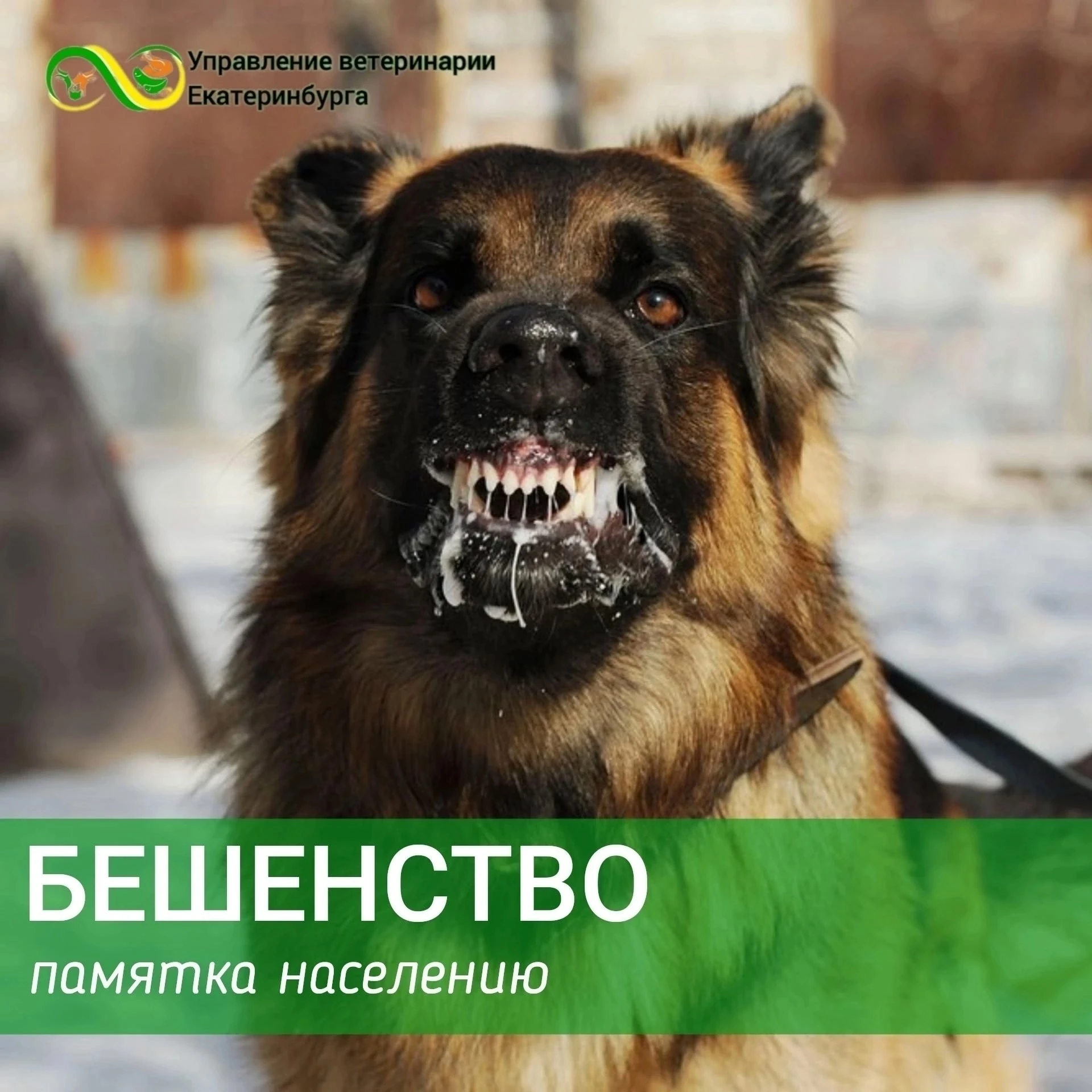 #памятканаселению