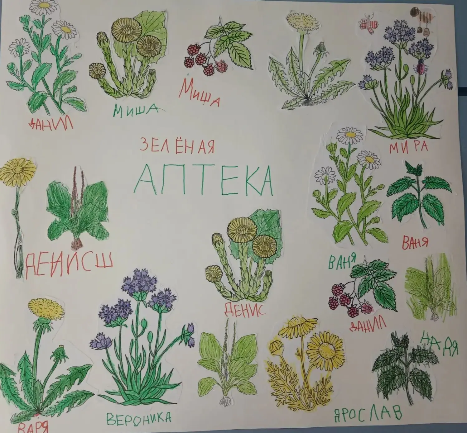 В рамках проекта «Лекарственные растения» воспитанники  подготовительной группы «Зайчат...