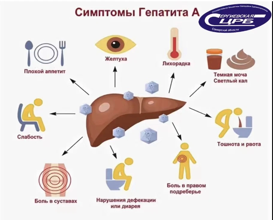 Что такое гепатит А и как происходит заражение 
 
🦠 Гепатит А – это воспалительное заболевание пече