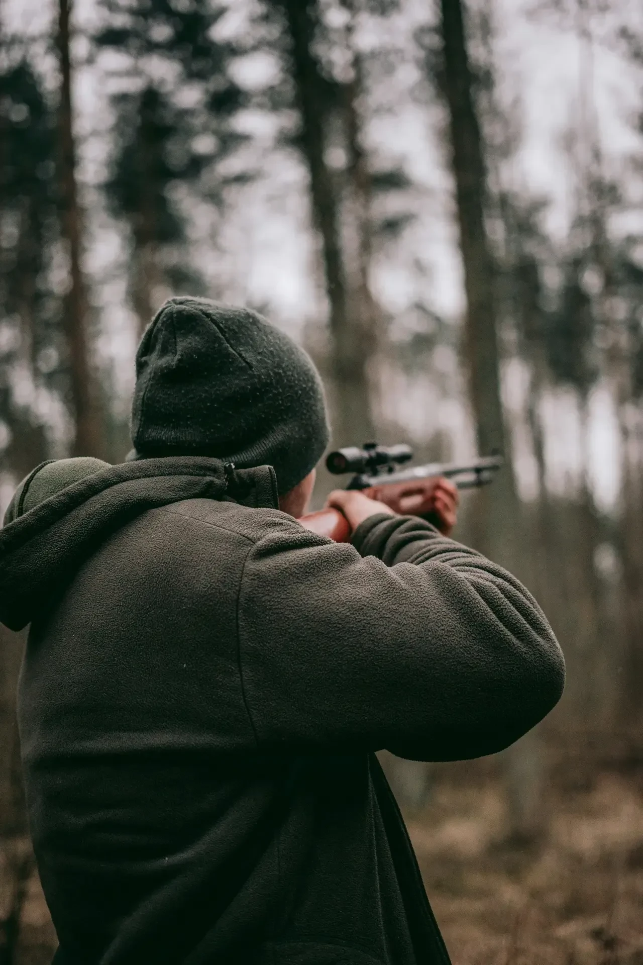 🦌 Сезон охоты на лося подошел к концу