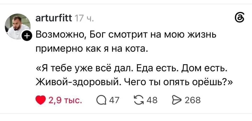 Дверь на улицу открой... И корм из мягкого пакетика чтобы 🐱🐈