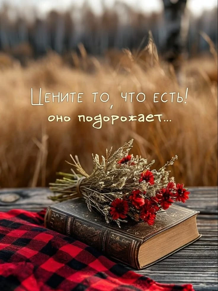https://max.ru/invista123456