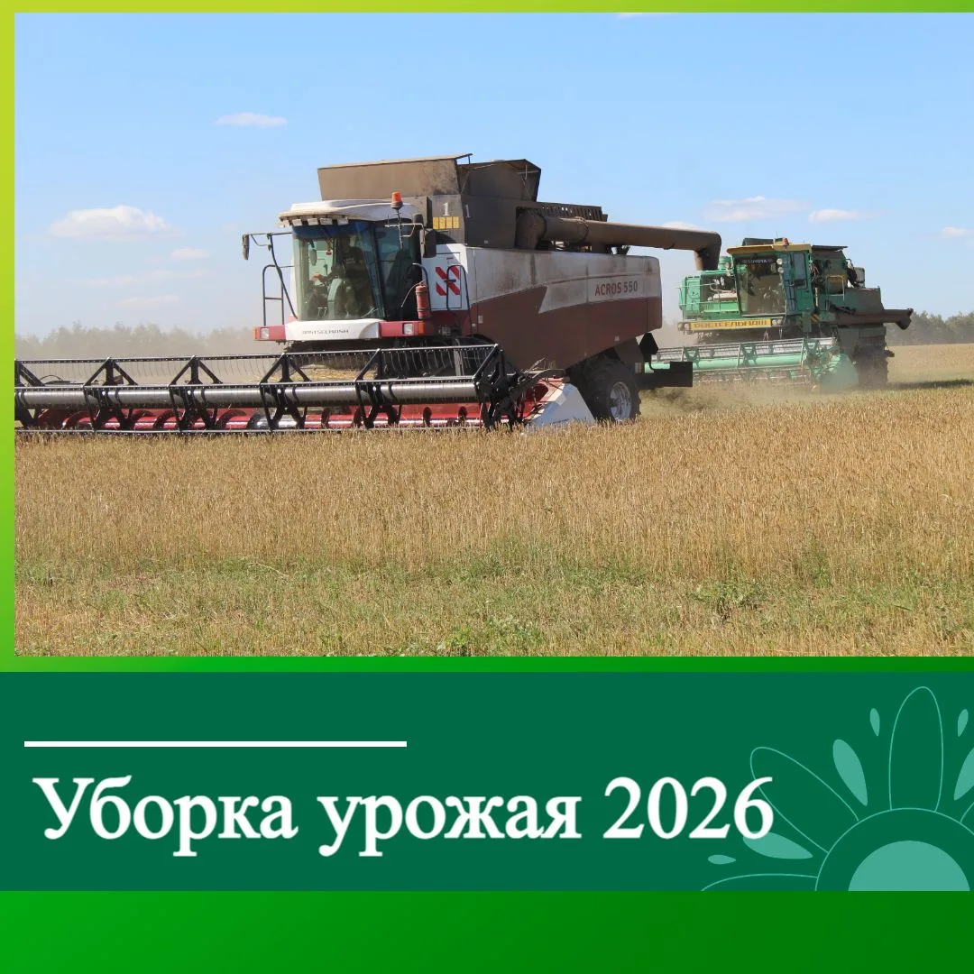 🌾 Уборка-2026: первые цифры нового сезона!

В Ключевском районе началась уборочная кампания. По сос
