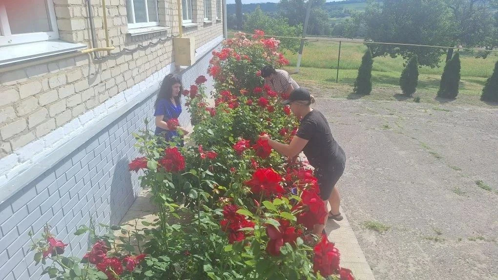 03.07.2026 года библиотека-филиала №8 с. Калмыковка МБУК "ЦБС г. Старобельска" приняла ...