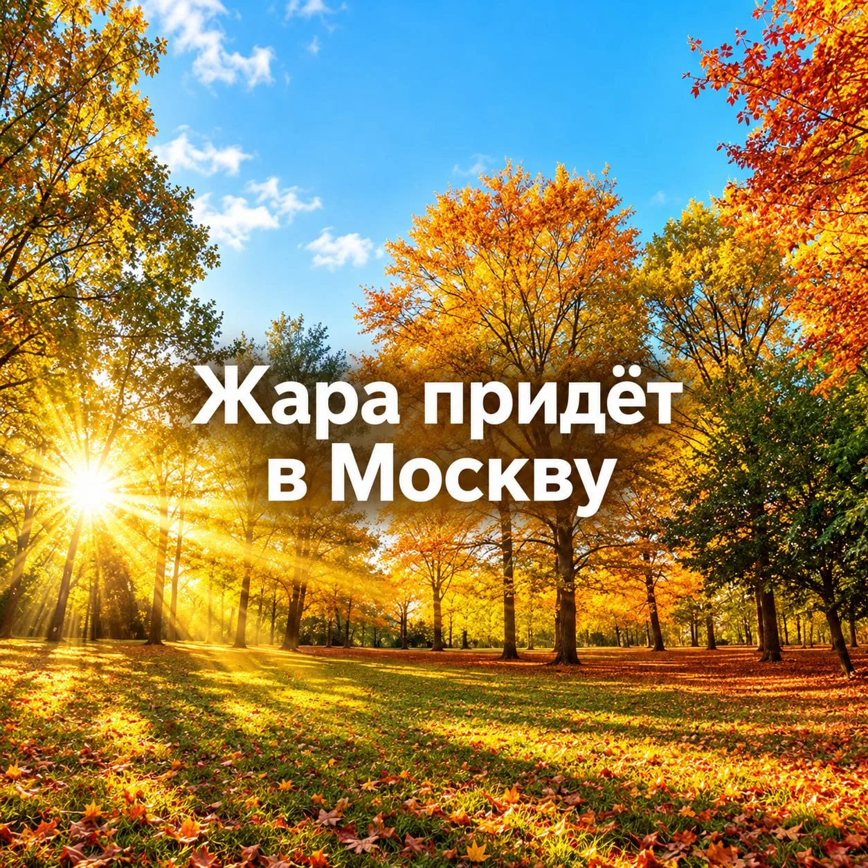 В Москве снова станет по-летнему тепло ☀