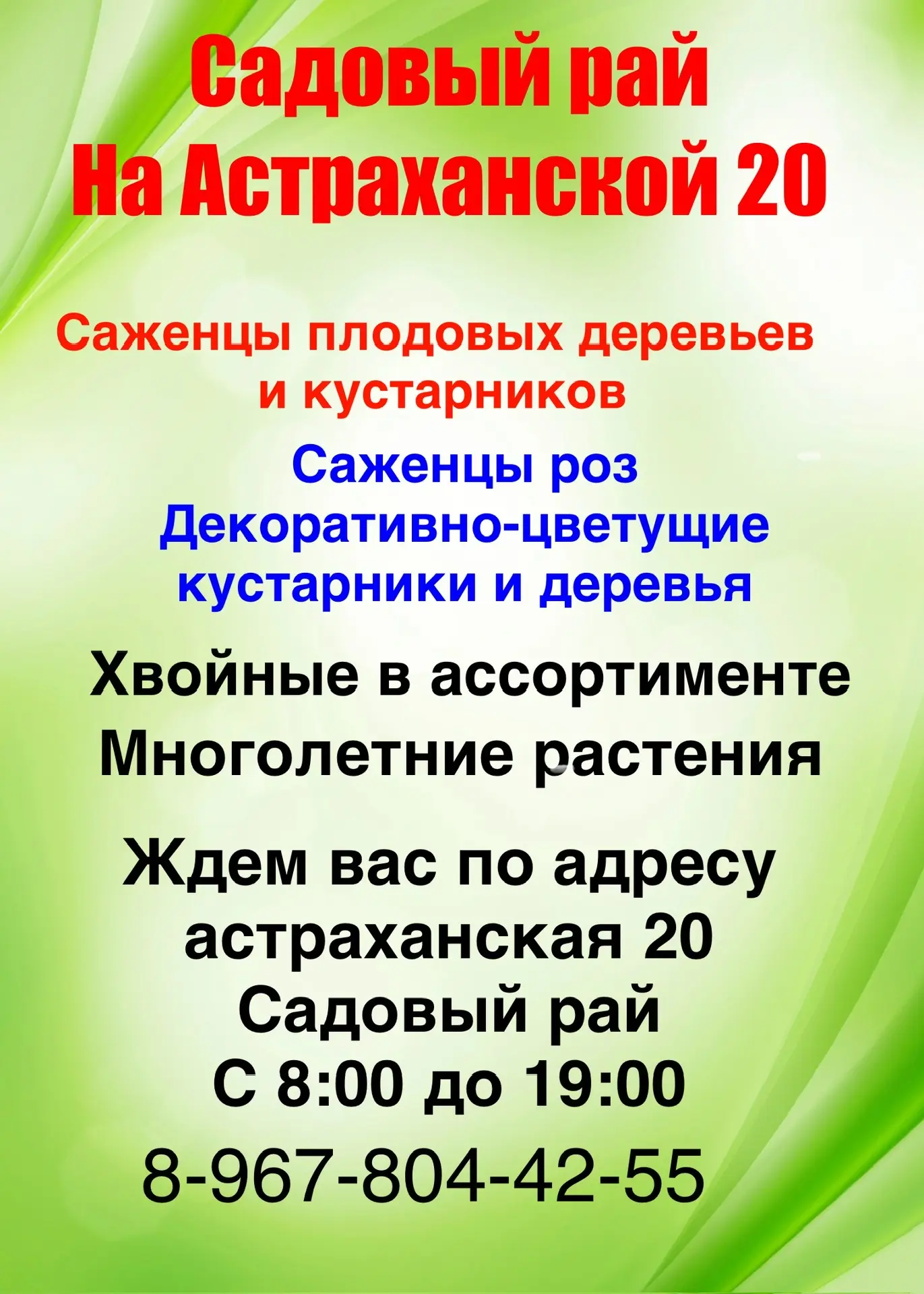 Приглашаем за саженцами.