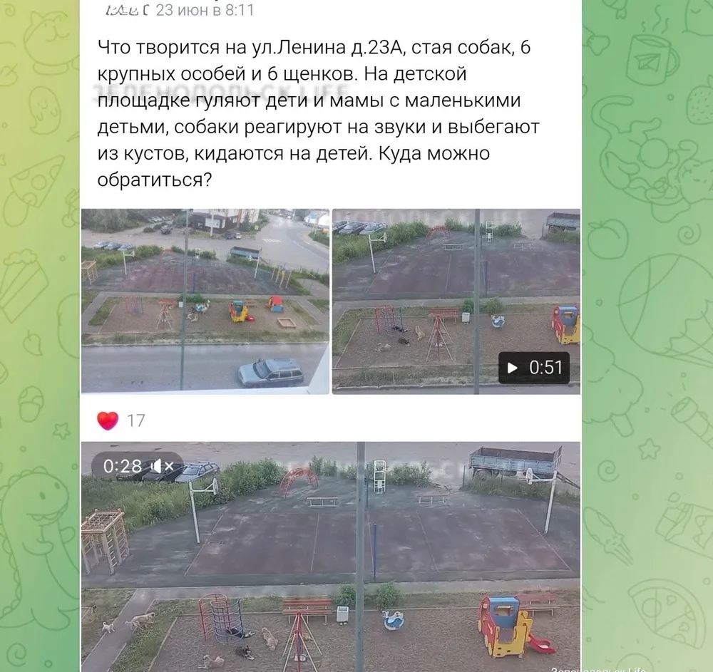 @zelenodolsk_news