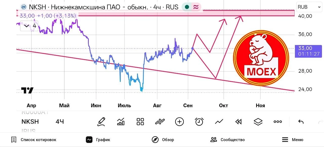 Нижнекамскшина