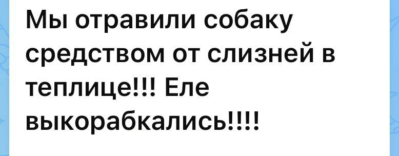 Отдельно стоит сказать про