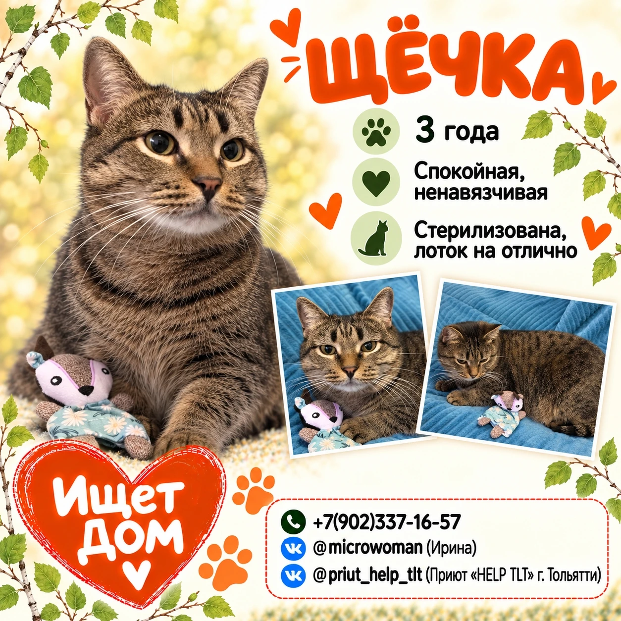 🐱 Друзья, знакомьтесь - Щёчка.