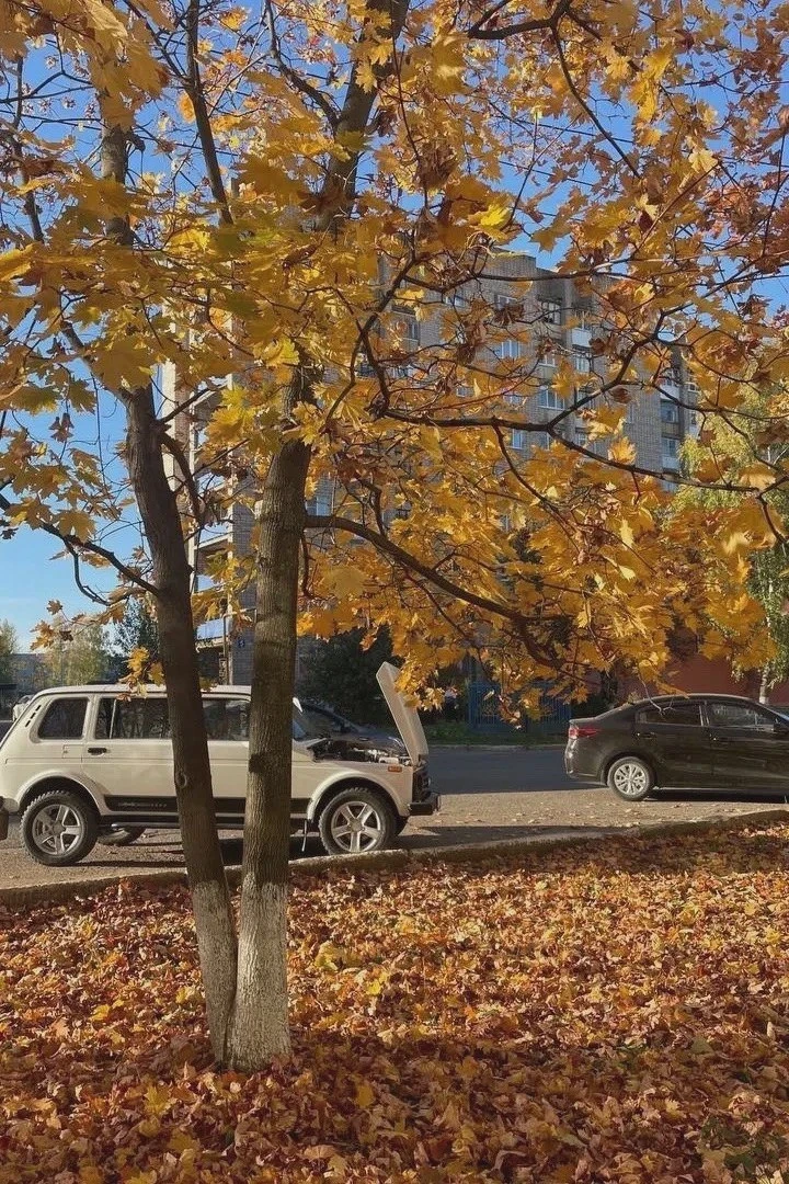 Нефтекамск пленяет красками золотой осени 🍂