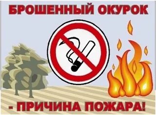 Пожары из-за курения: причины, последствия и меры профилактики