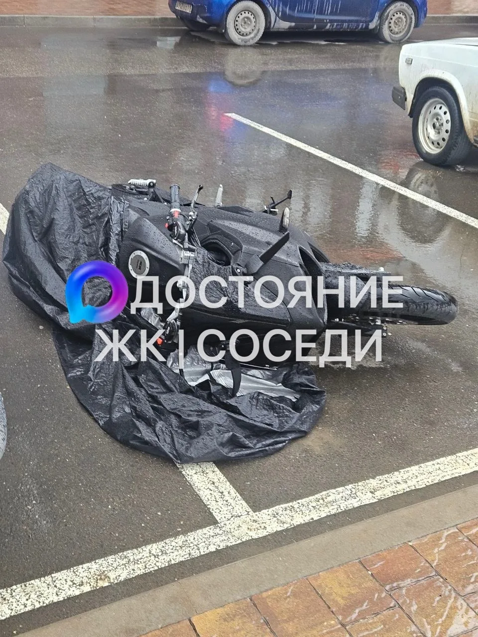 Чья ласточка лежит, возле магазина Егер сити