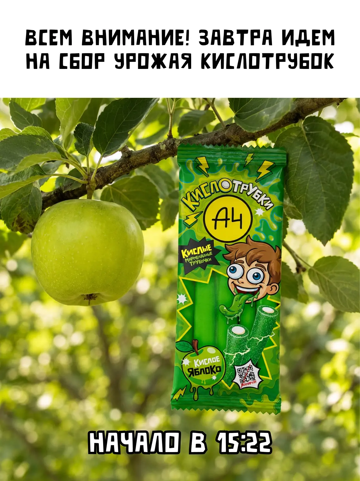 Фейк или правда?? Приезжай на дачу и проверь!