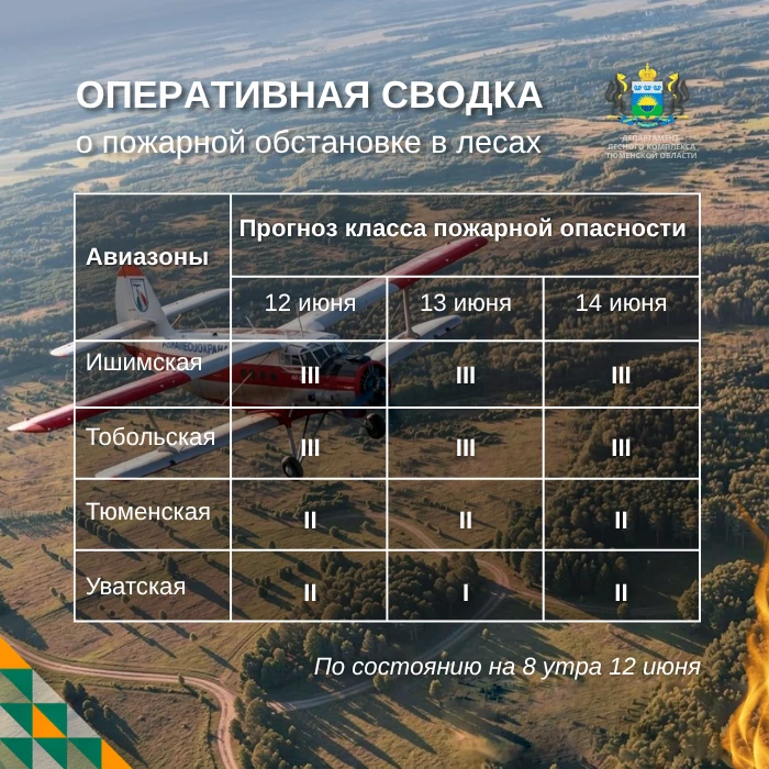 🔥 По данным региональной диспетчерской службы, на утро 12 июня в Тюменской области нет действующих 