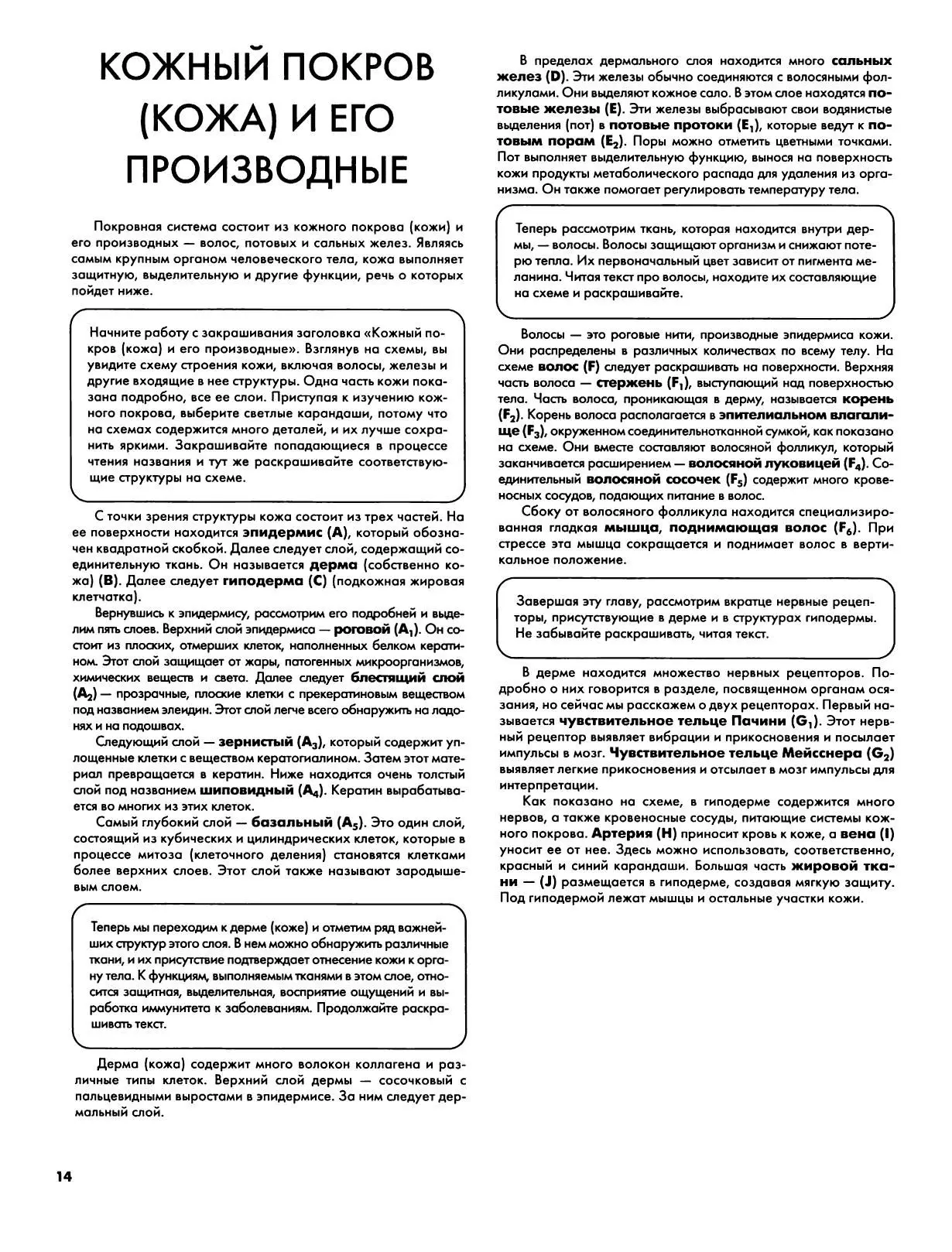 Кожа и ее производные