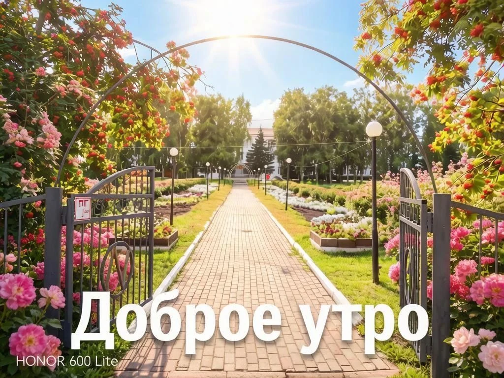 Доброе утро пятницы🍁💫