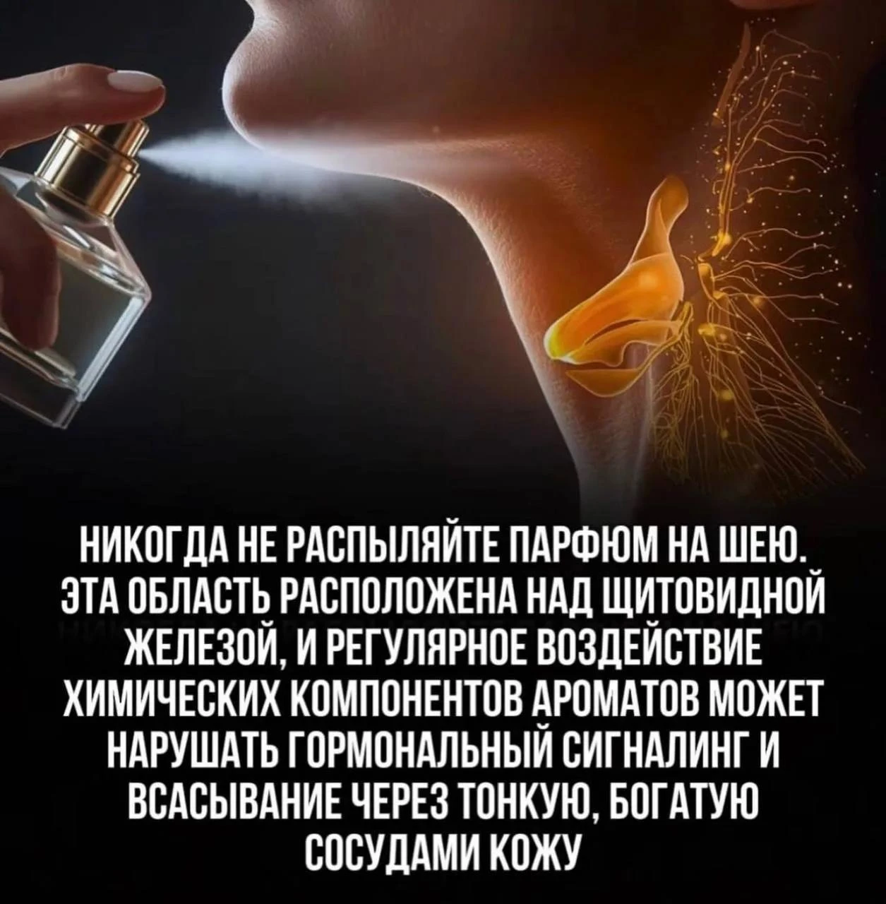 Наносить парфюм на шею — не лучшая идея.
