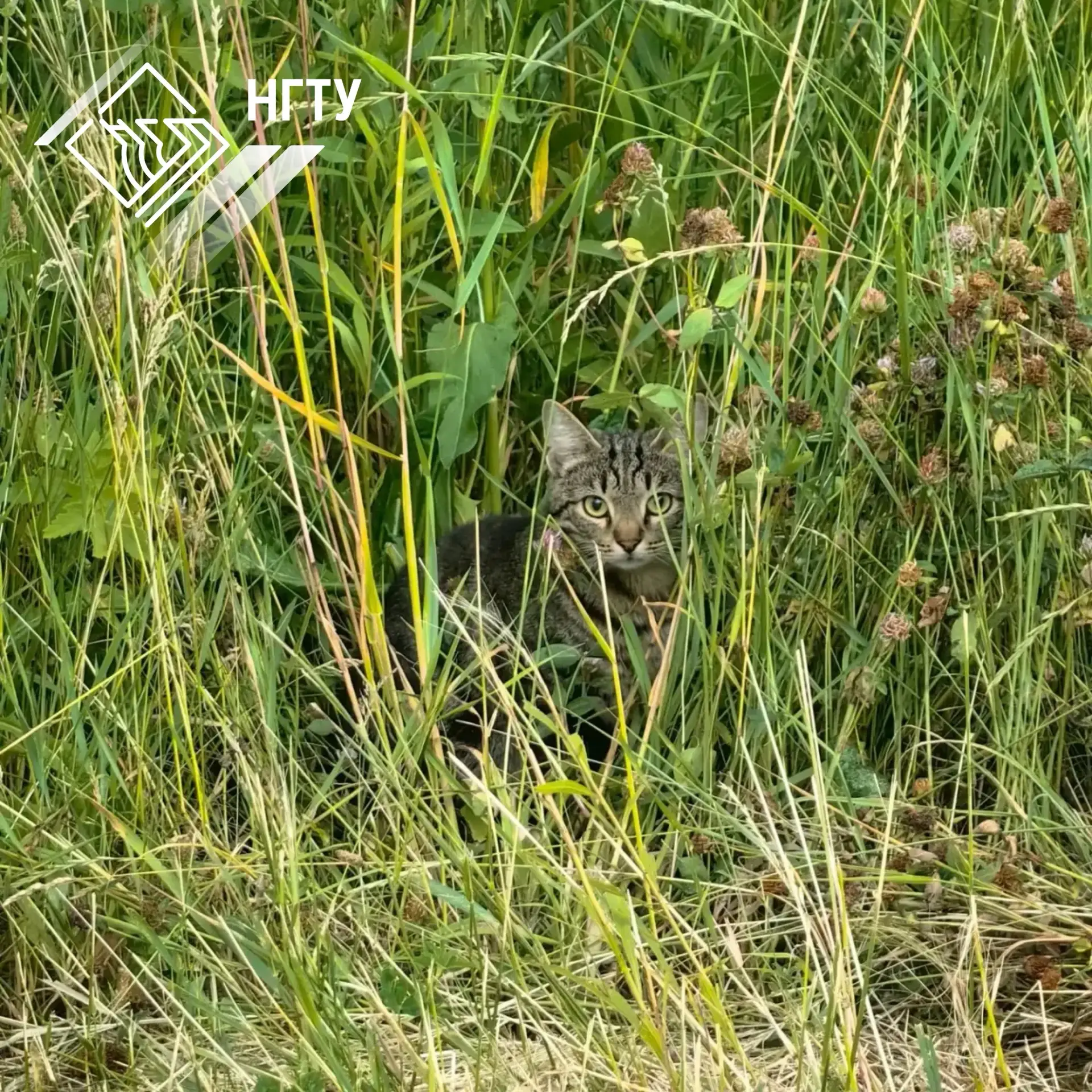 Доброе утро, Политехники! ☀️
Начнём этот день с важной части любого научного исследования - внимател