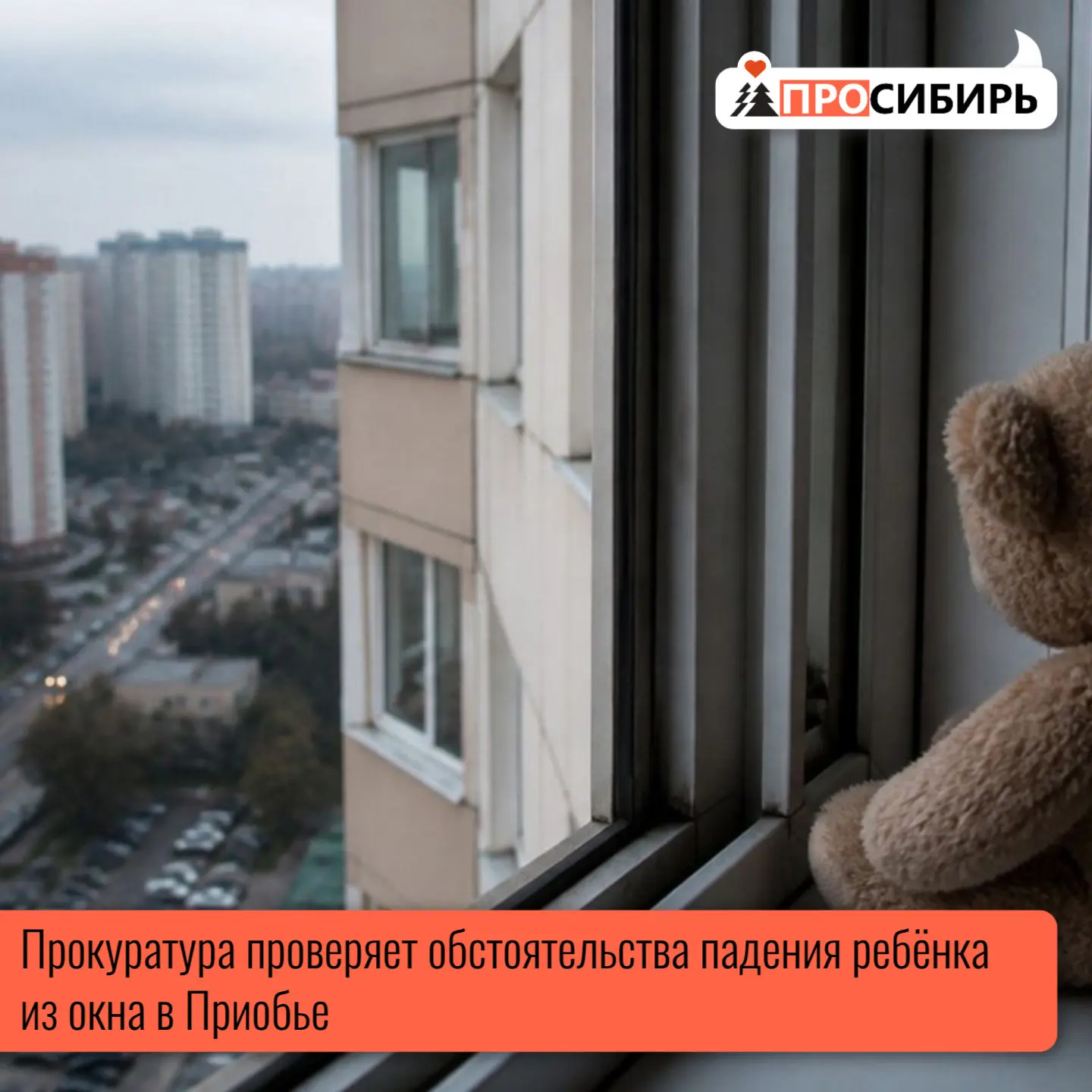 В посёлке Приобье (Октябрьский район) произошёл несчастный случай: шестилетний мальчик ...