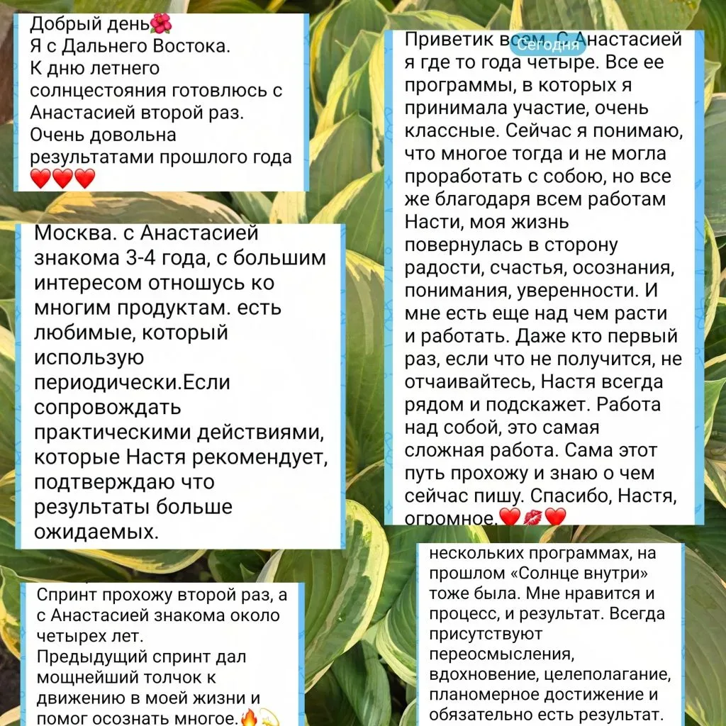 ОТЗЫВЫ ☝️, ПОСЛЕ КОТОРЫХ ЛЮБЫЕ СЛОВА - ЛИШНИЕ.

Участники идут во второй раз, в третий, в пятый...на