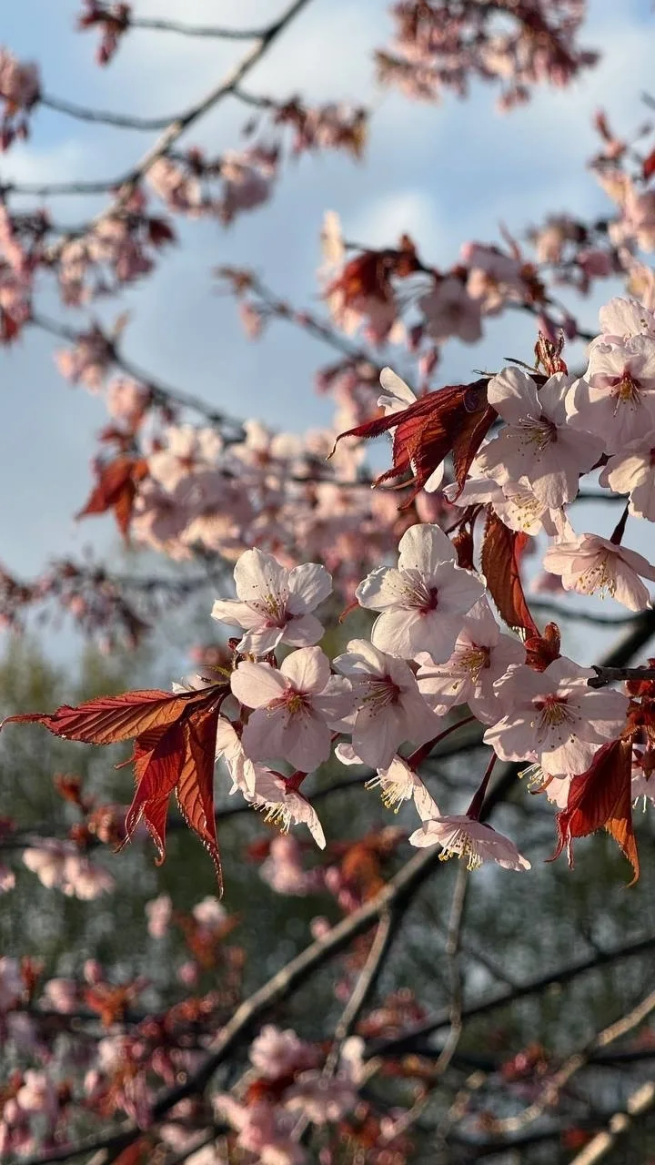 Доброе утро, Южный! 🌞  В эту субботу погода решила порадовать нас настоящим, почти летним теплом. Со