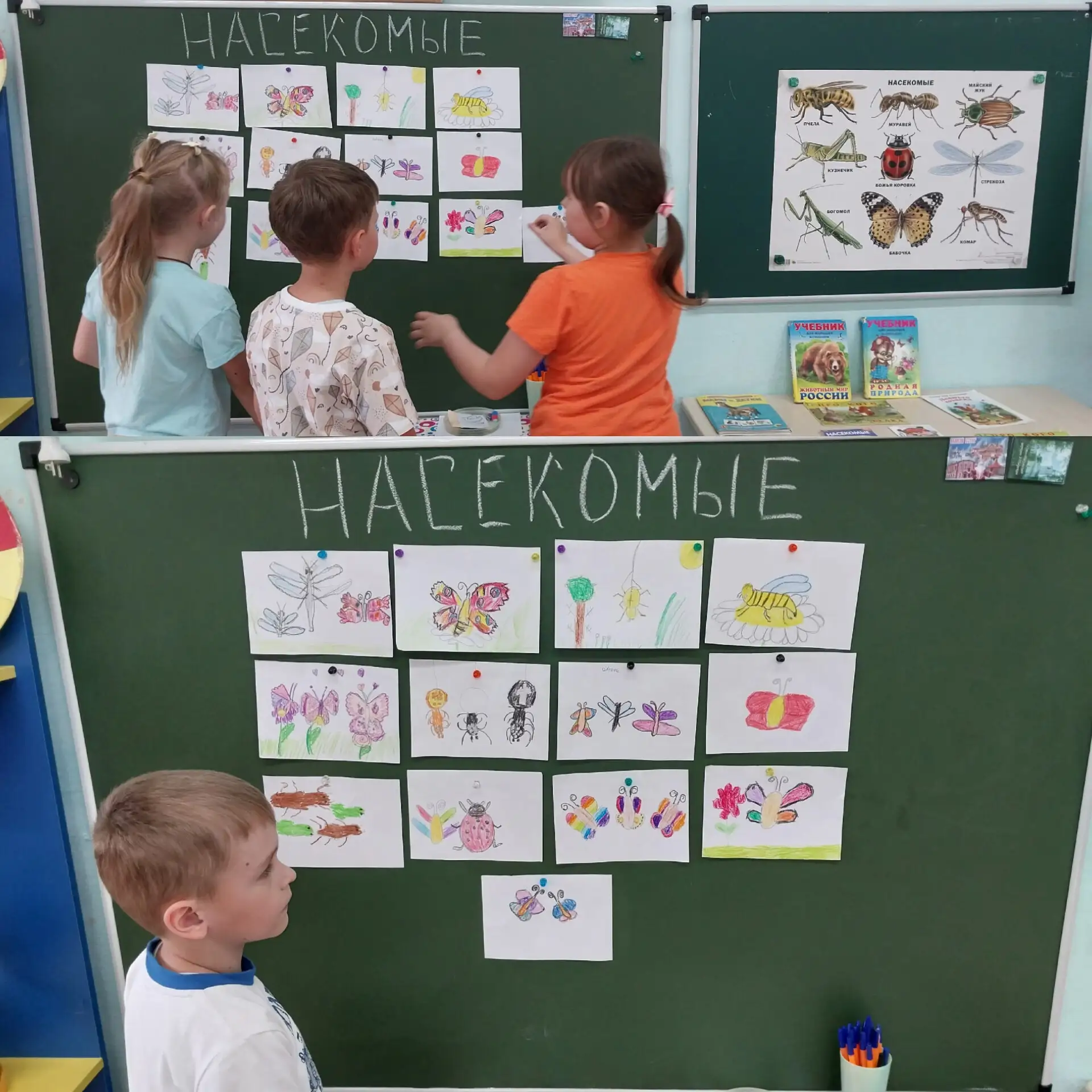 Тематический день «В мире насекомых» 🐝🦗🦋🐞🐜🐛
Воспитатели рассказали детям интересные факты о на