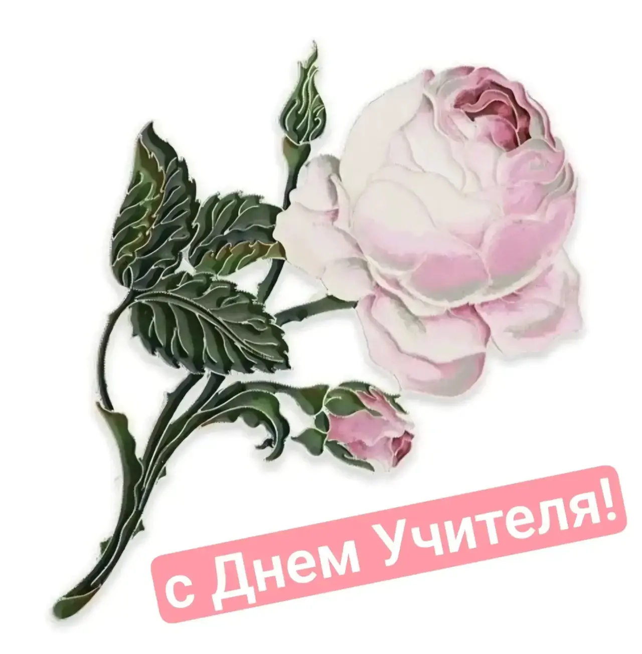 Больше, чем профессия: почему мы благодарны учителям всю жизнь