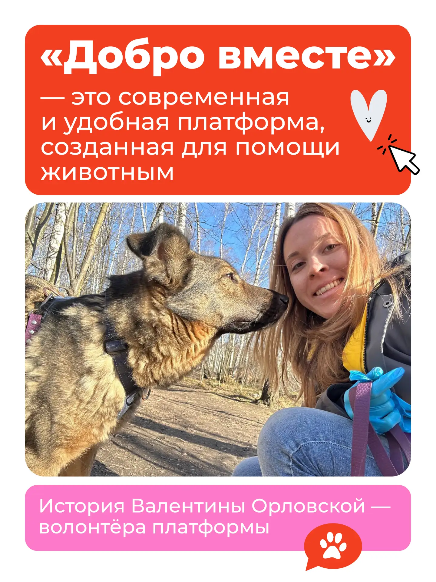 Помогая животным, мы помогаем себе стать лучше, --- так считает фонд «Добро вместе». А ...