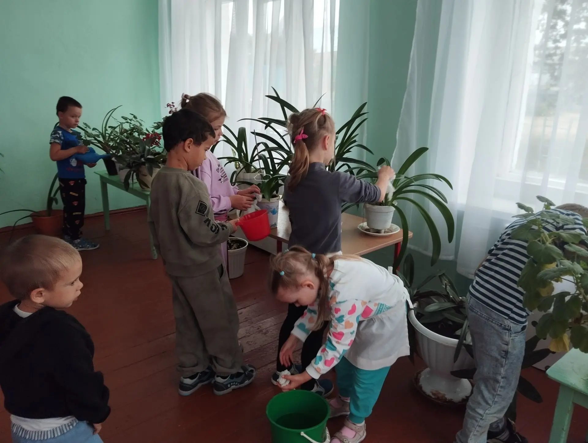 Уход за комнатными растениями в детском саду. Воспитывать у детей бережное, заботливое ...