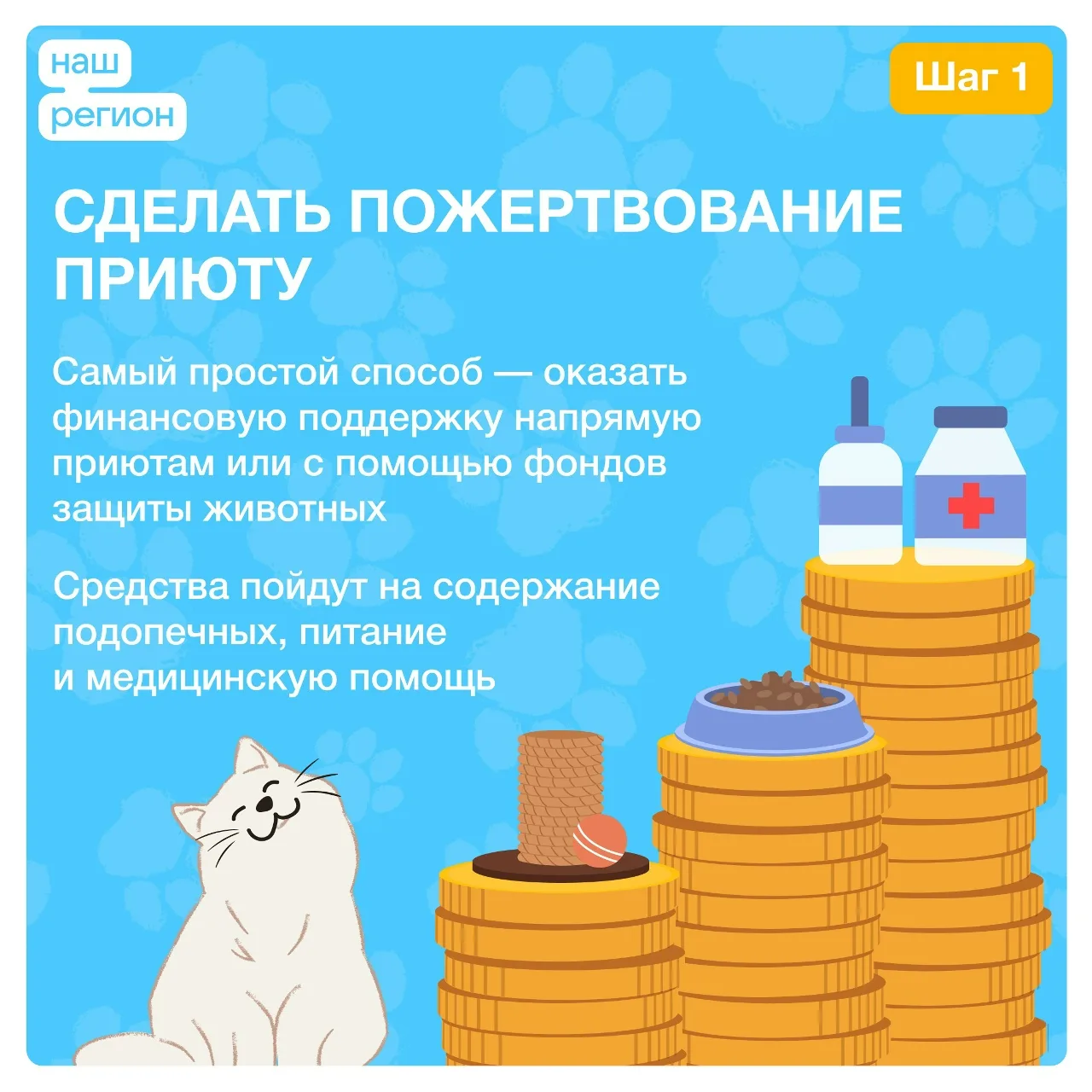 Сегодня в мире отмечается особый праздник — Международный день защиты бездомных животных.