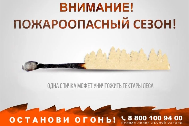 Внимание! Пожароопасный сезон! Соблюдайте правила пожарной безопасности в лесах. Предус...