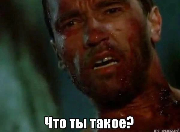 Автор: Это что такое?😱