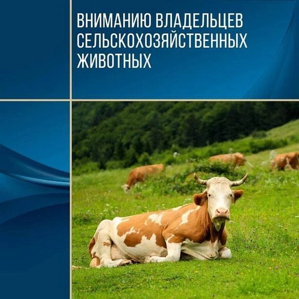 Уважаемые владельцы сельскохозяйственных и домашних животных!

Информируем вас о недопустимости сокр