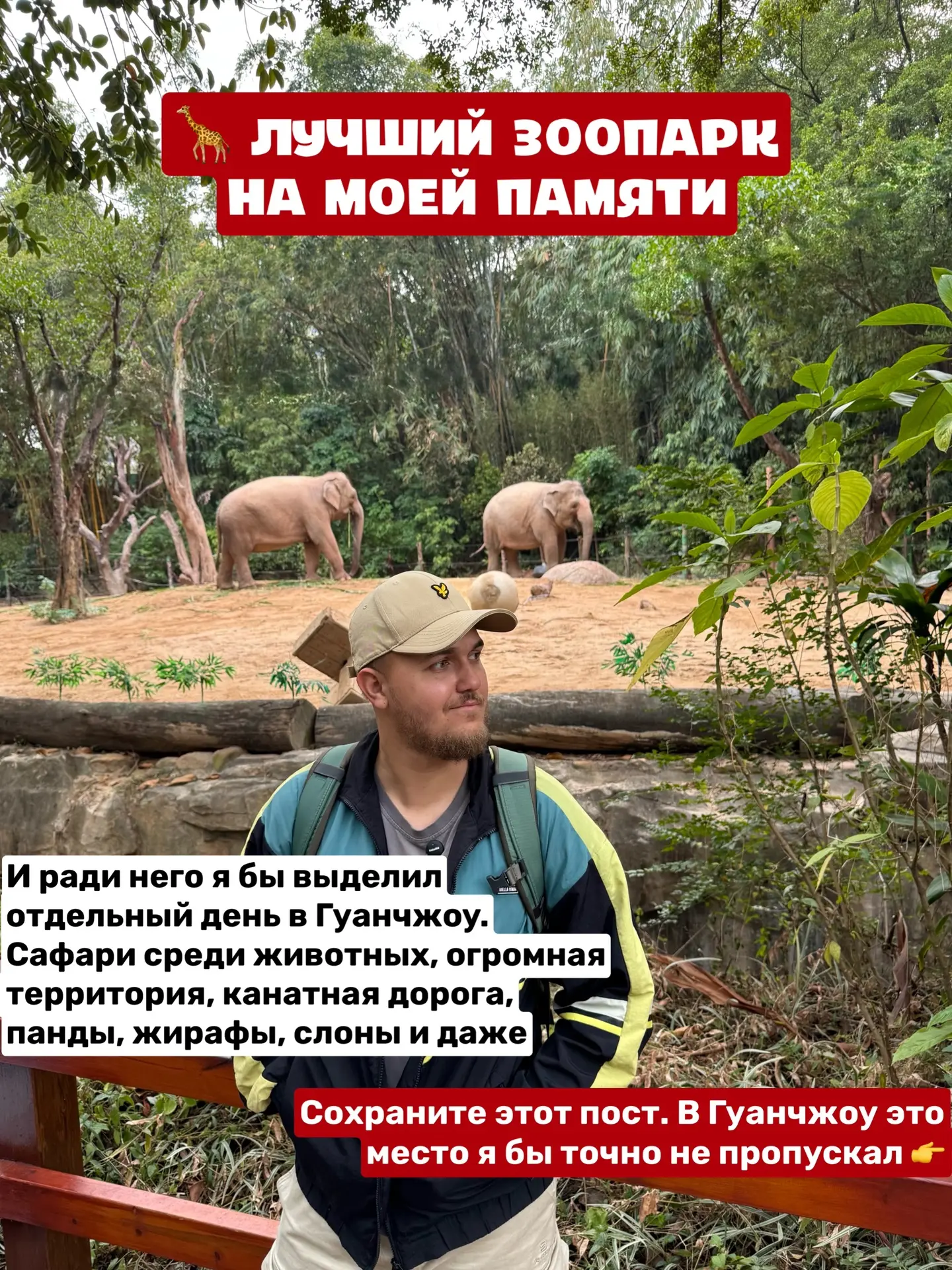Если будете в Гуанчжоу и пропустите это место, потом будете жалеть🐼