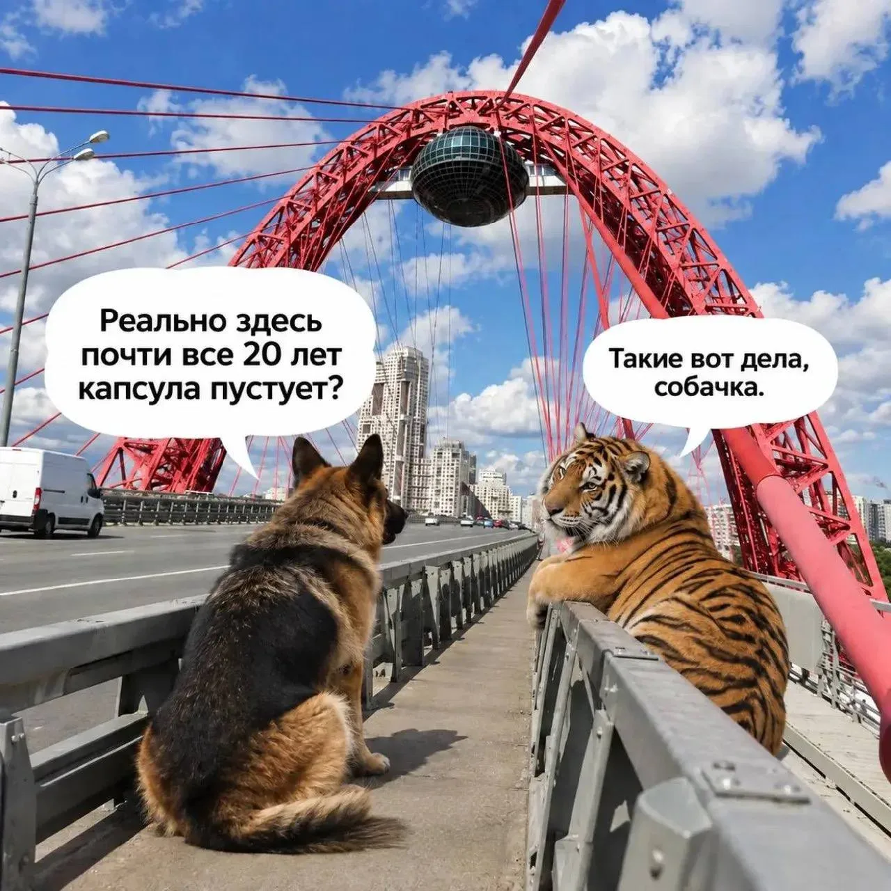 🐶 Такие вот дела, собачка