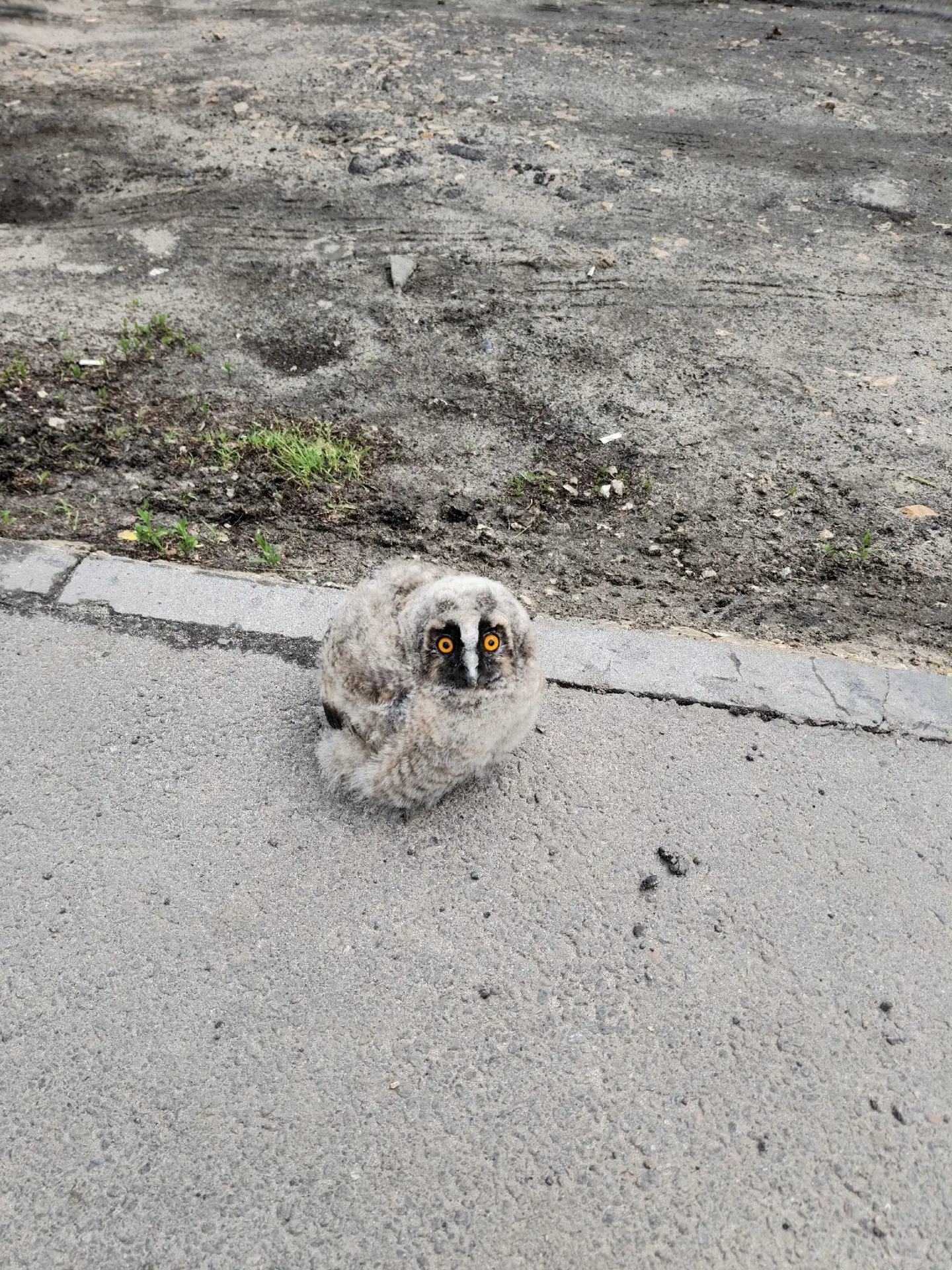 Ждун

#отподписчика 


Подслушано Ртищево. Подписаться