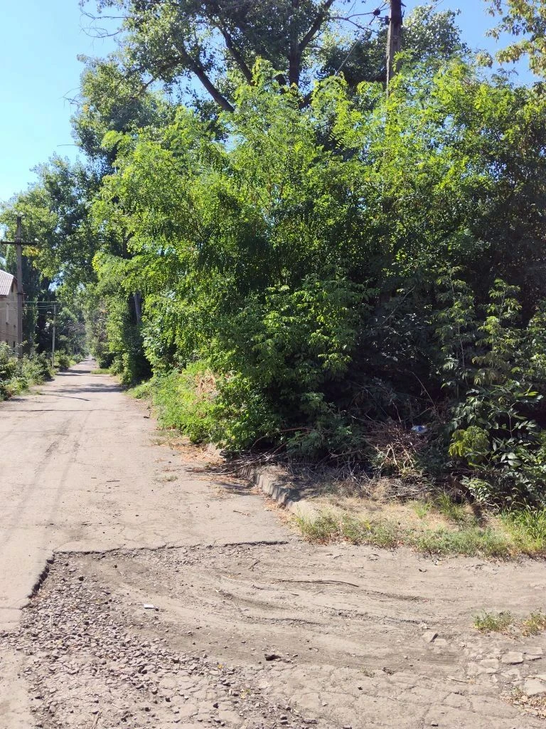 В городе Суходольск начаты работы по удалению поросли вдоль проезжей части по улице Д.В...