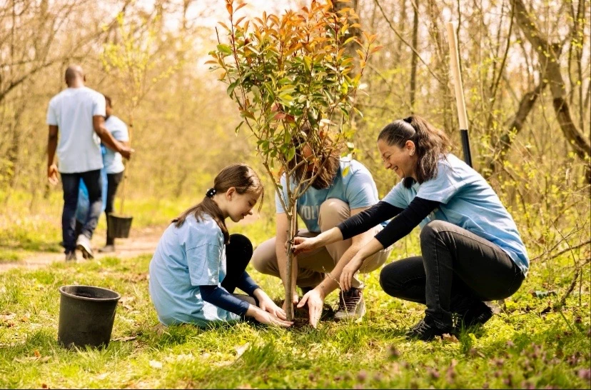 Дерево, которое вырастет вместе с твоим ребенком 🌱

Сегодня в мой телефон прилетело сообщение, от к