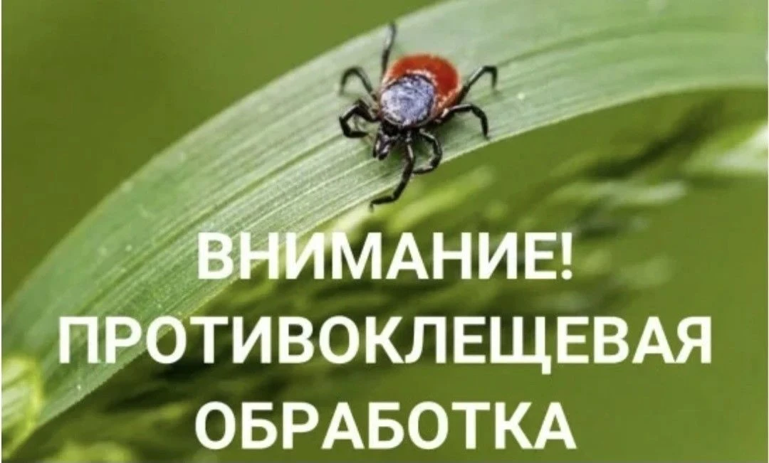 Уважаемые родители, педагоги и обучающиеся!