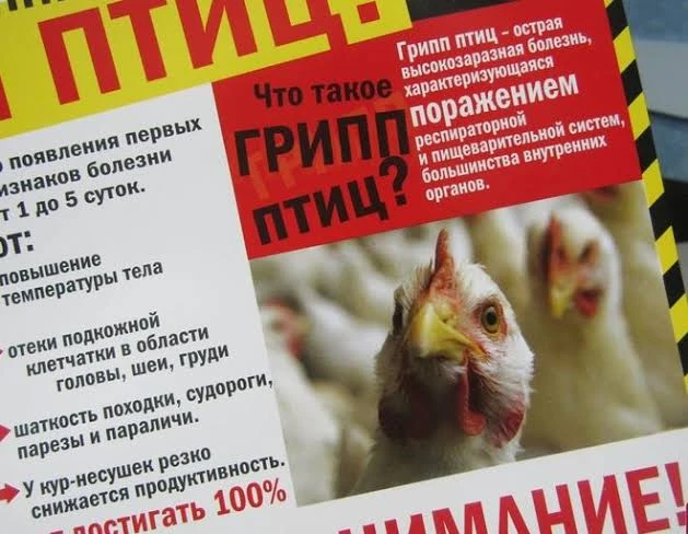 ❗Мероприятия, направленные на недопущение заноса и распространения высокопатогенного гр...