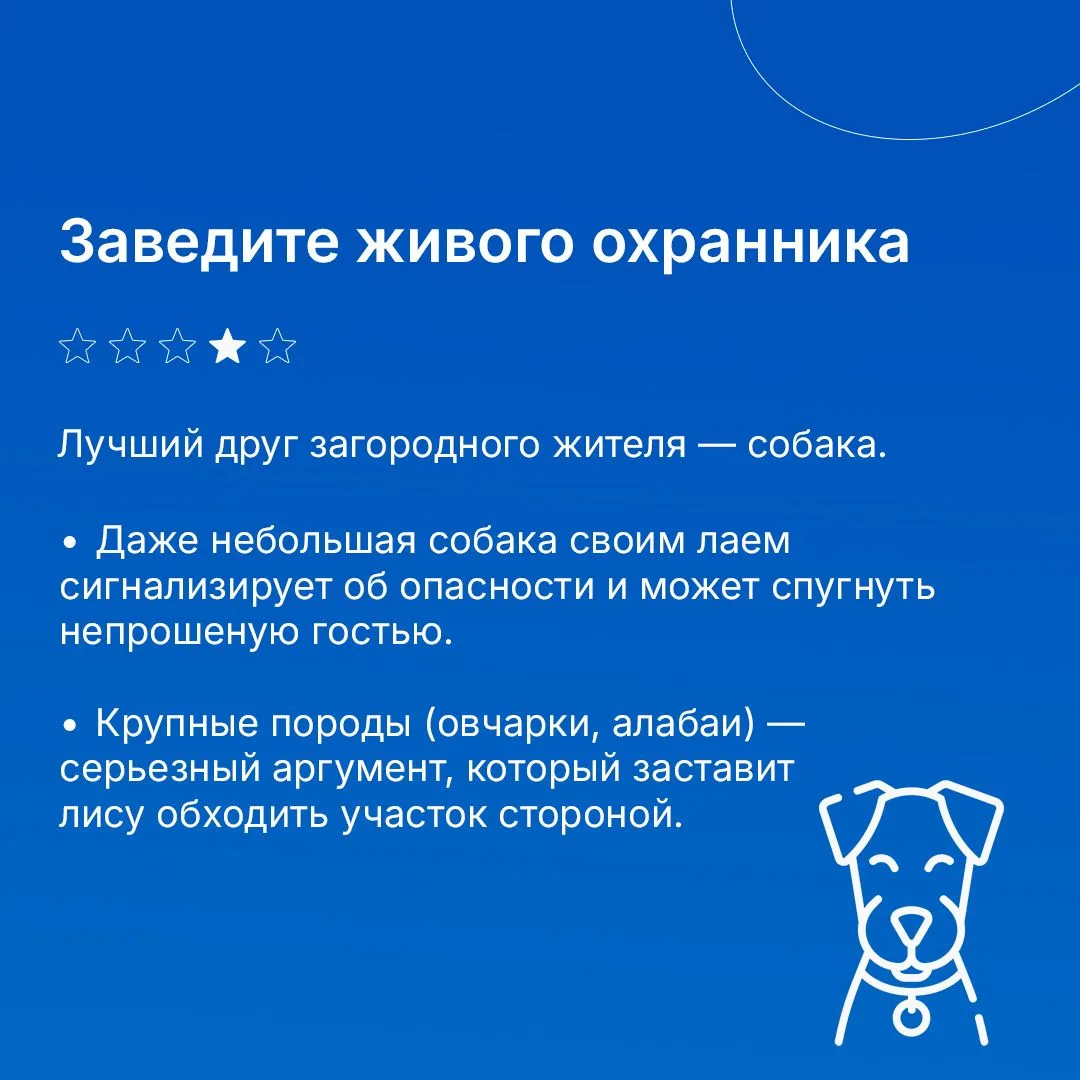 Лиса — зверь хитрый и красивый. Но соседство с ней в загородном доме может обернуться проблемами: ра