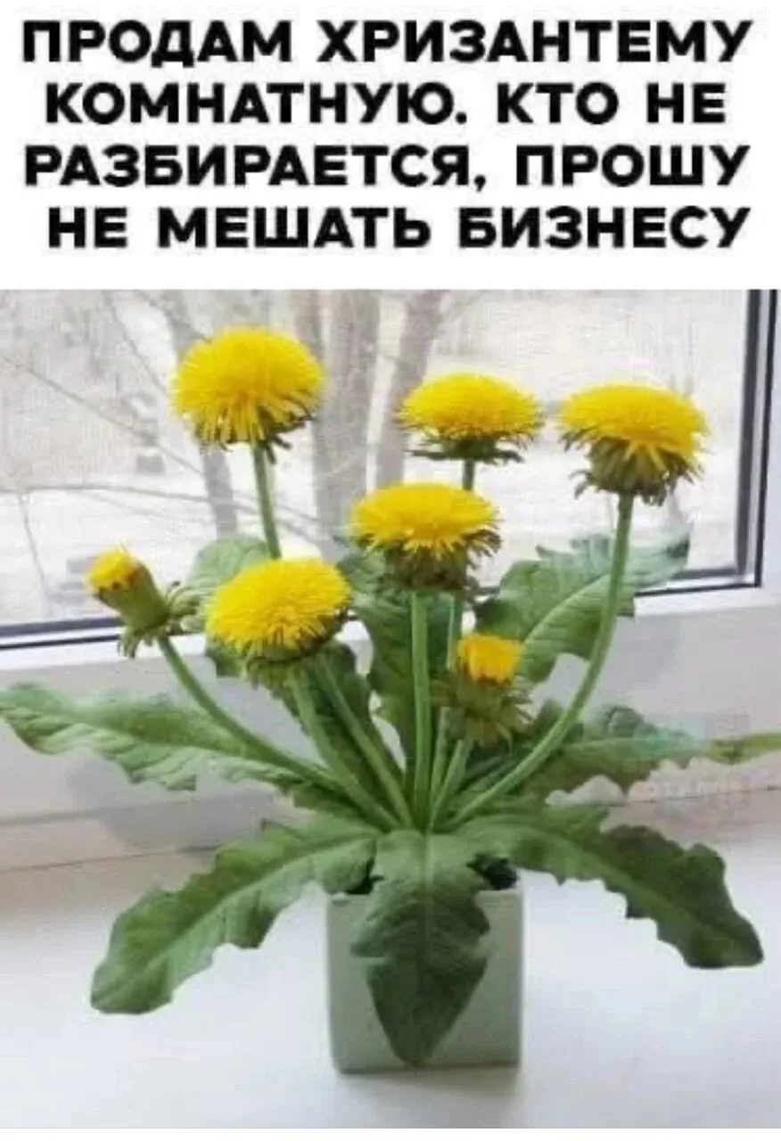 Добрых всем выходных!❤️