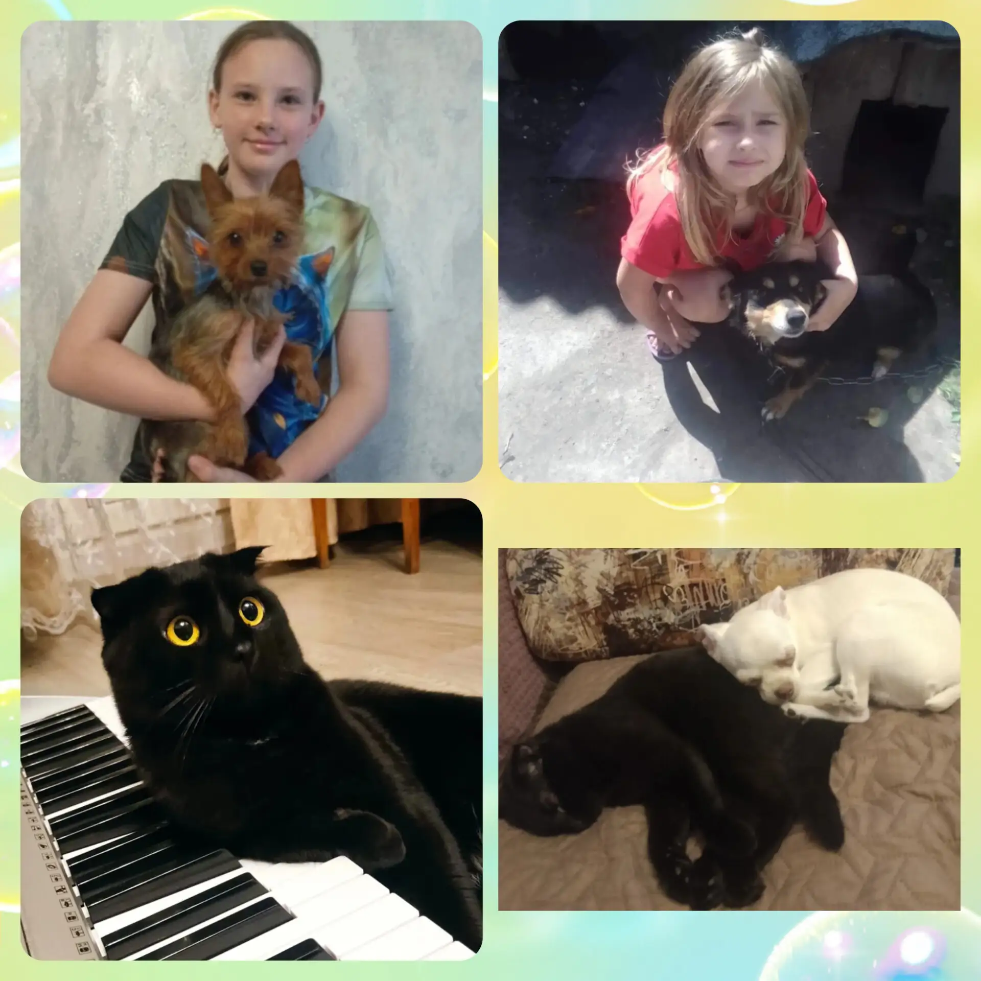 🌈8 день в лагере "Радуга": Погружение в мир животных!

🐶🐱Сегодняшний день в нашем лагере "Радуга"