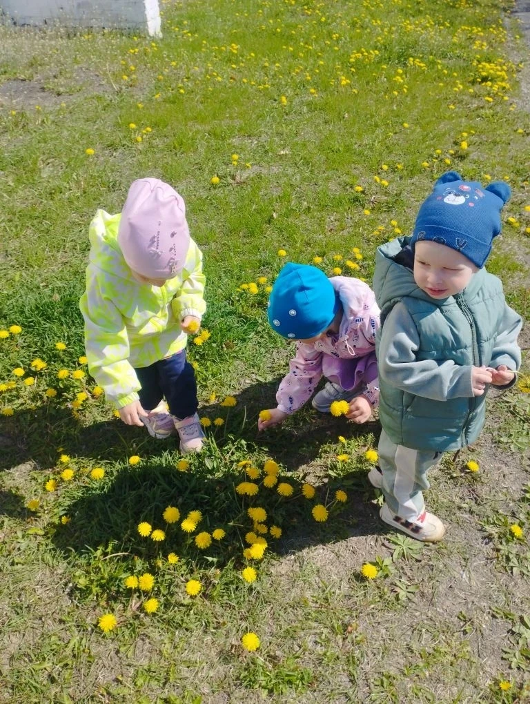 Уронило солнце☀️