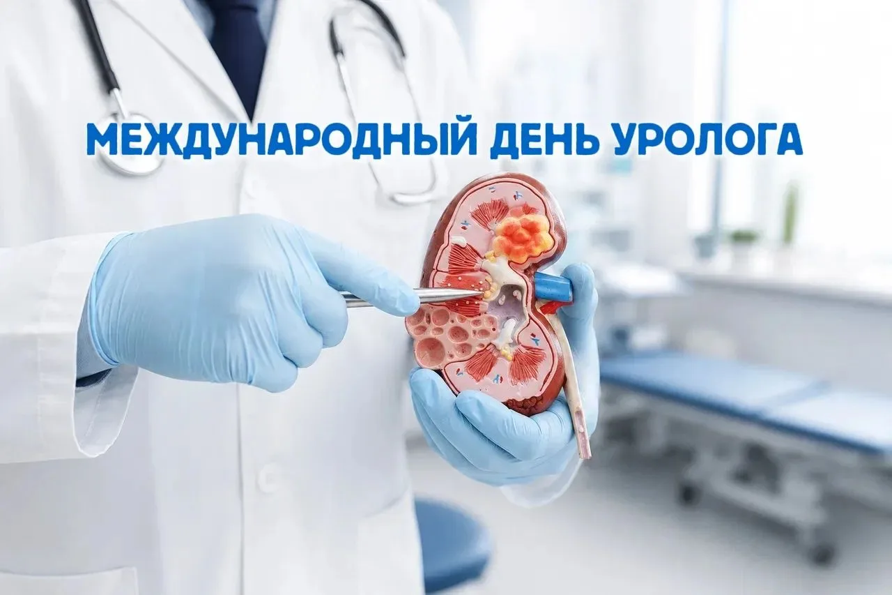 🩺Сегодня, 2 октября  отмечается Международный день уролога 🤍